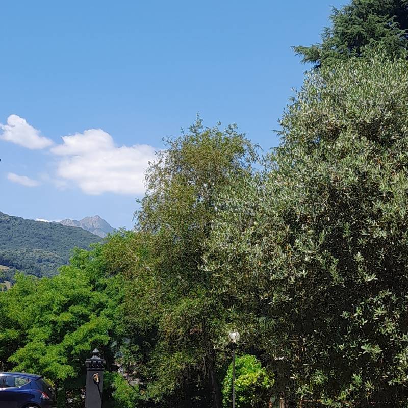 Fotosegnalazione di Cene