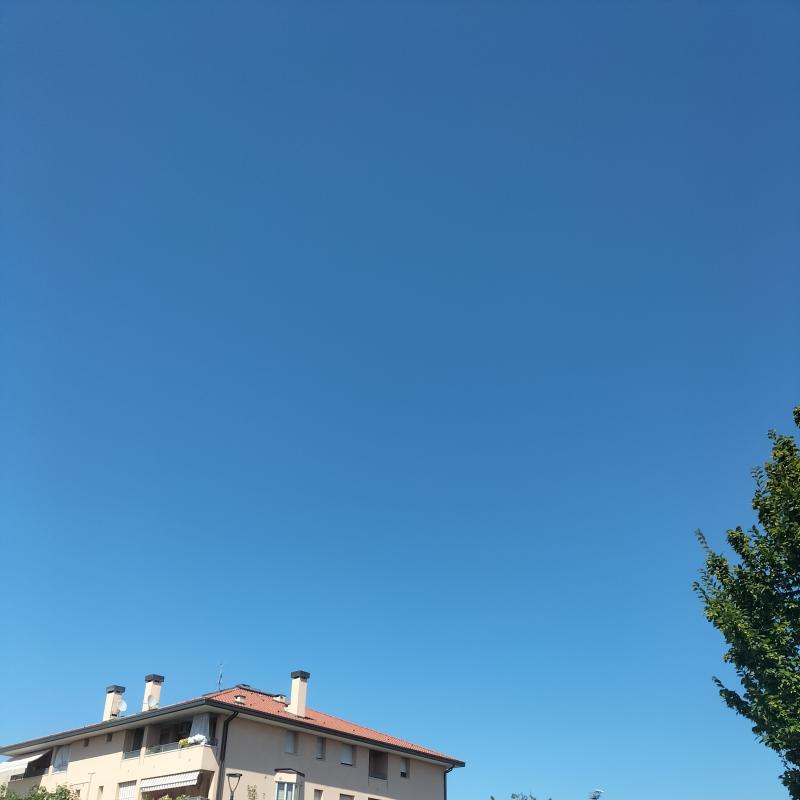 Fotosegnalazione di Mogliano veneto