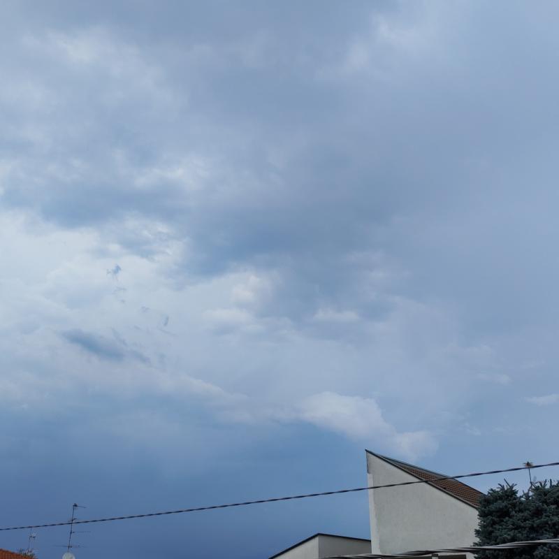 Fotosegnalazione di Castano primo