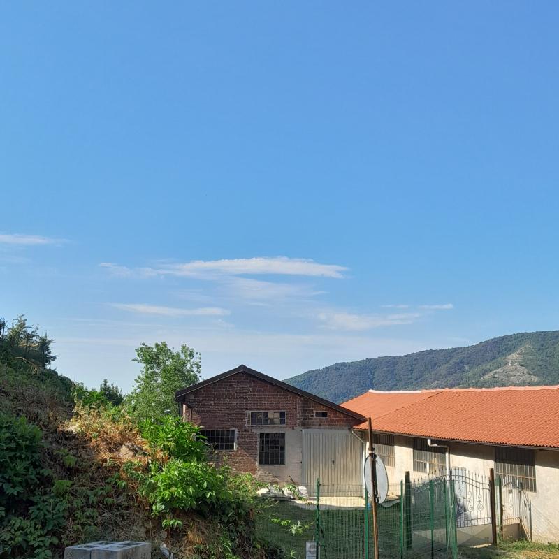 Fotosegnalazione di Pratiglione