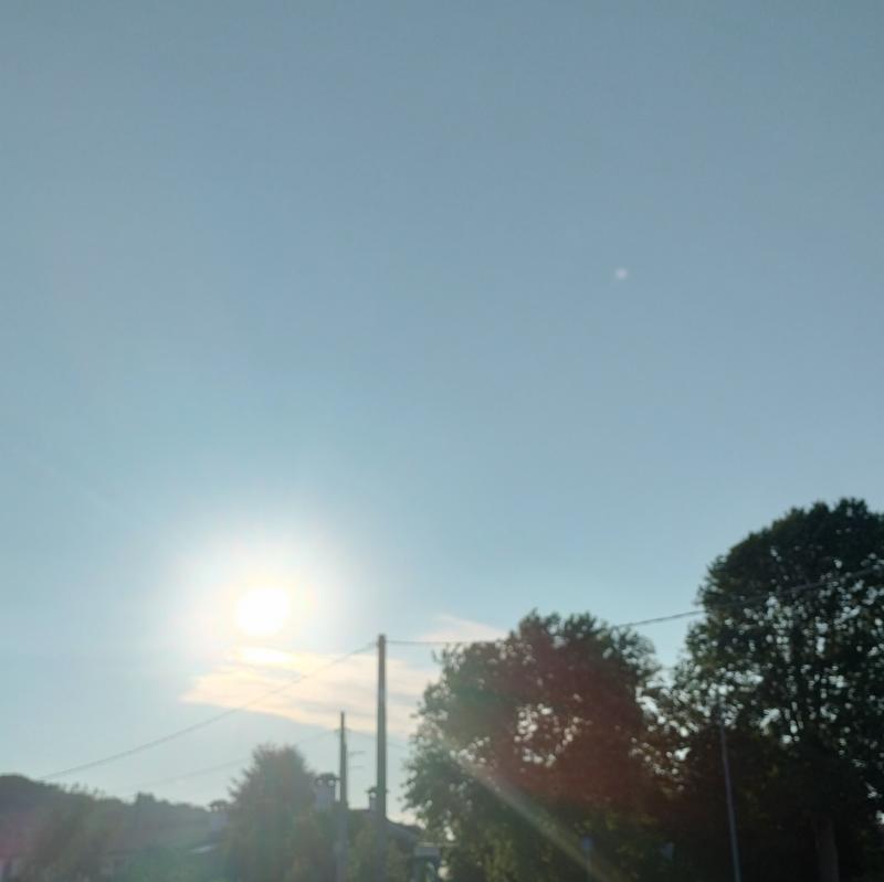 Fotosegnalazione di Montebelluna