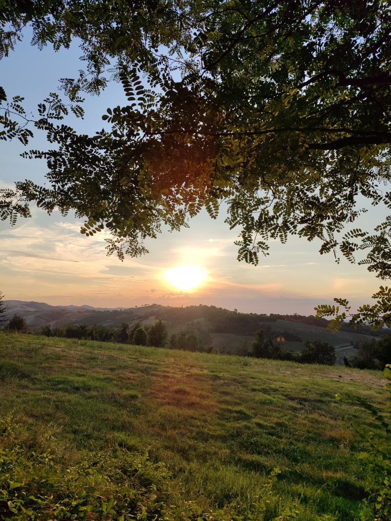 tramonto con velature