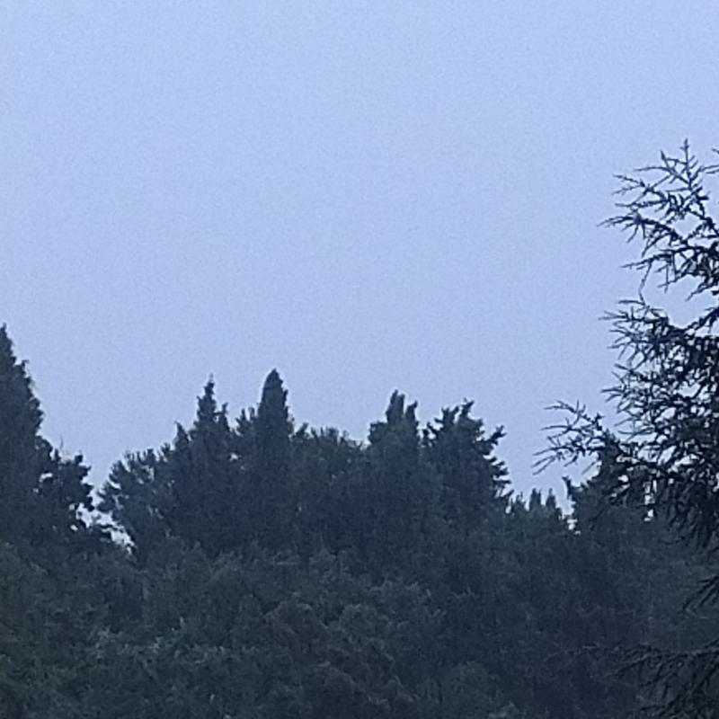 Fotosegnalazione di Mozzo