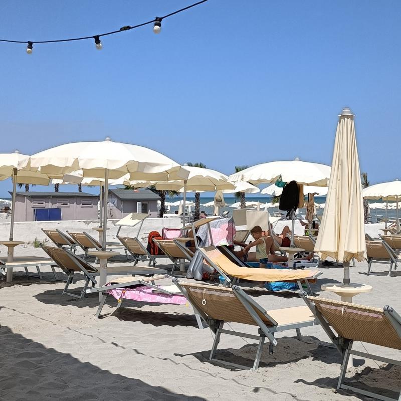 Fotosegnalazione di Bellaria igea marina