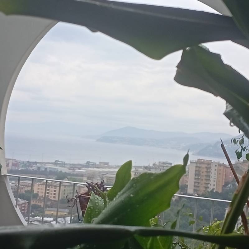 Fotosegnalazione di Genova ponente litorale