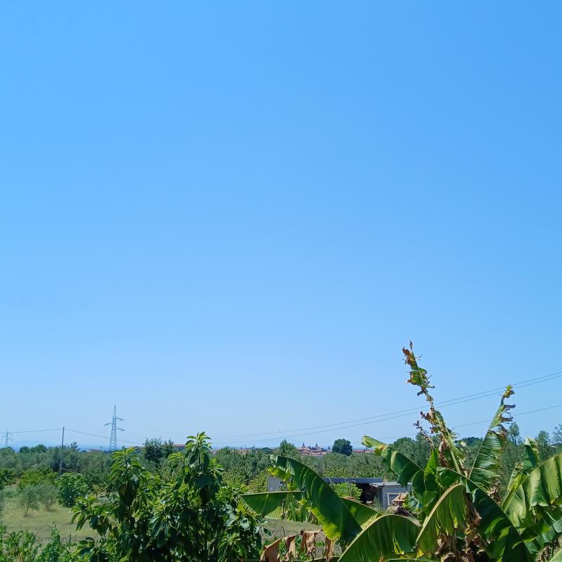 Fotosegnalazione di Sparanise