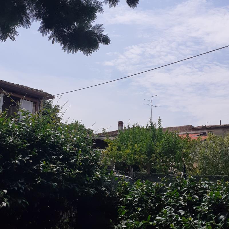Tempo a cadidavid