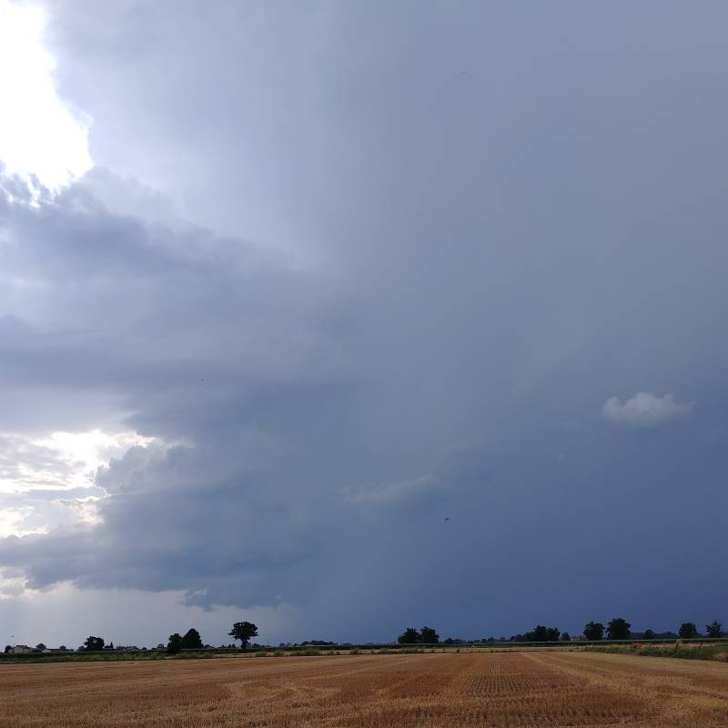 Fotosegnalazione di Calendasco