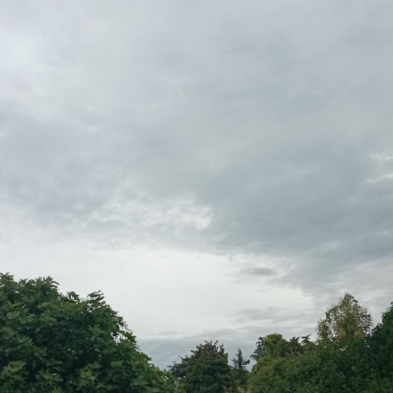 Fotosegnalazione di San dona' di piave