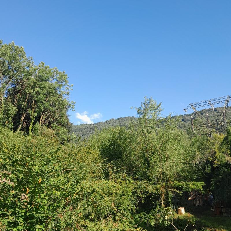 Fotosegnalazione di Forno canavese