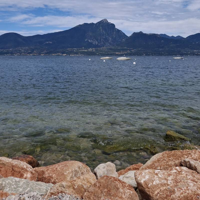 Fotosegnalazione di Torri del benaco