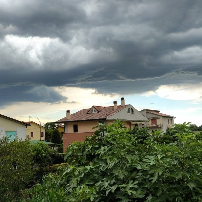 Fotosegnalazione di Grisignano di zocco