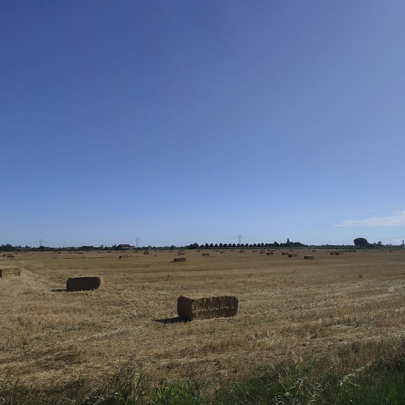 Fotosegnalazione di Bagnarola