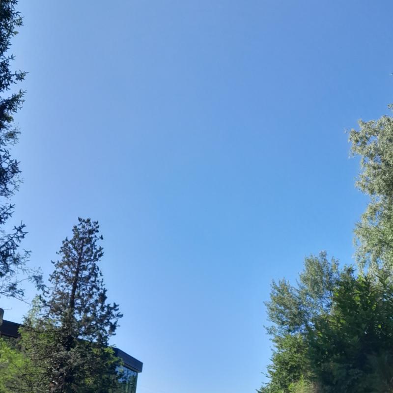 Fotosegnalazione di Forno canavese