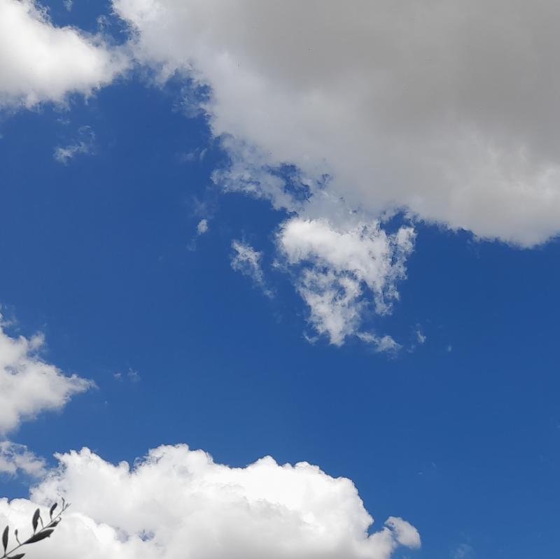 Fotosegnalazione di Osimo