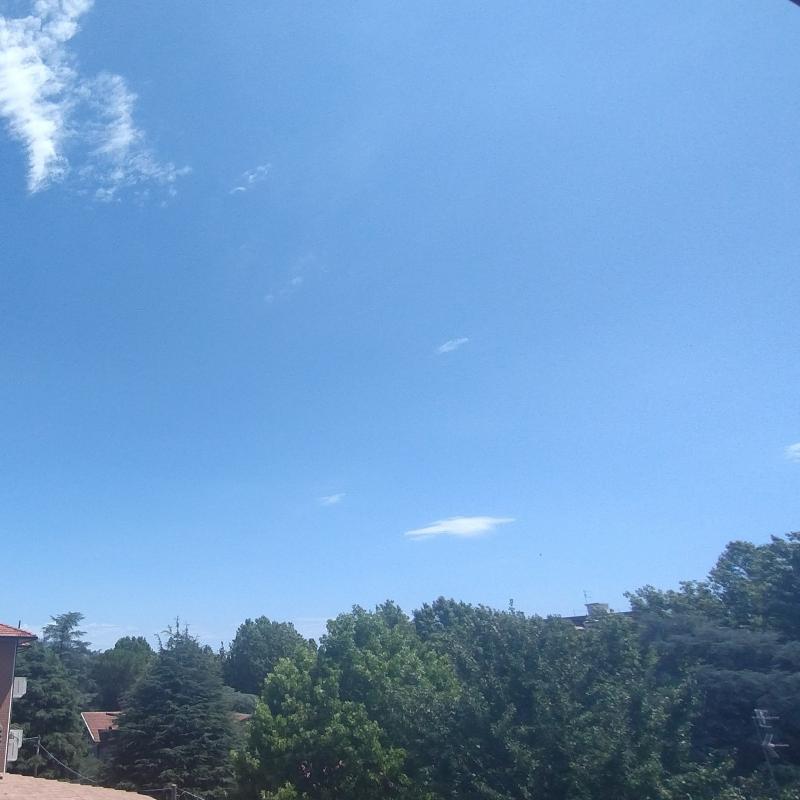 Fotosegnalazione di Castrocaro terme e terra del sole