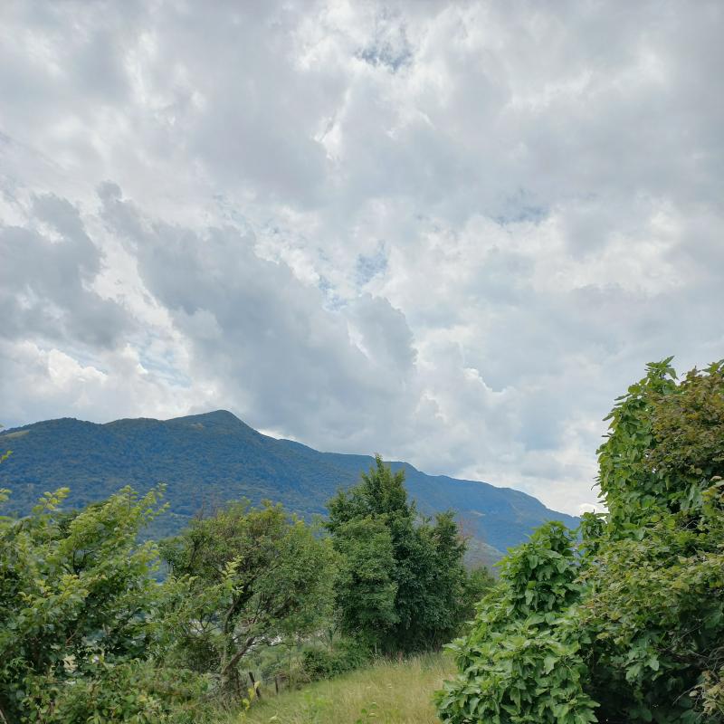 Fotosegnalazione di Zorzino
