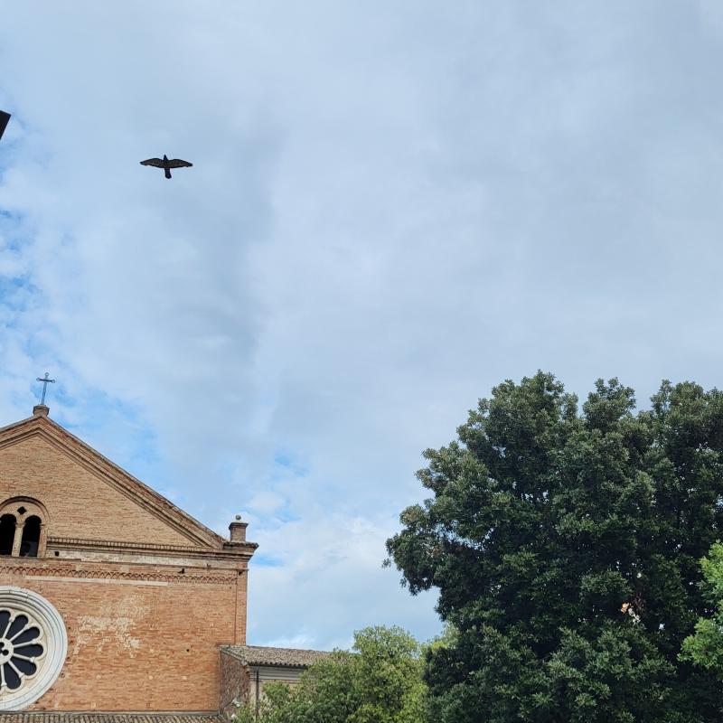 Fotosegnalazione di Chiaravalle