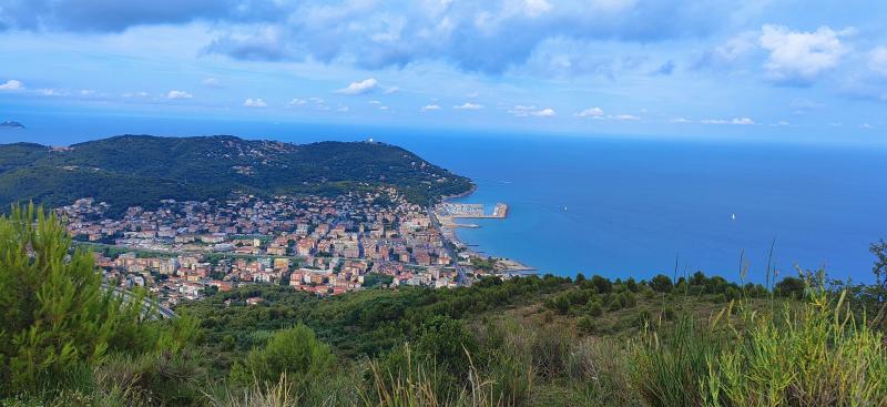 Andora