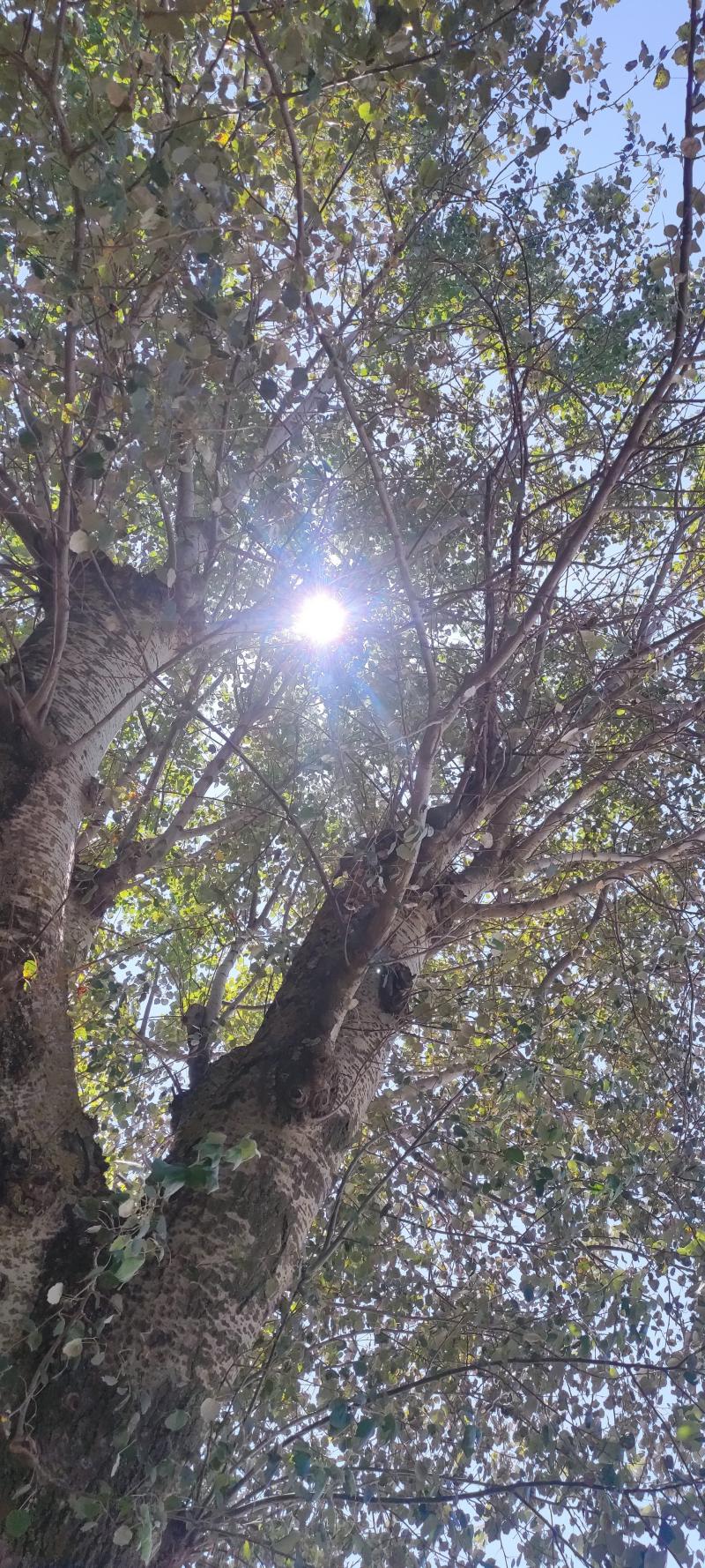 incanto di luci.i miei attimi speciali adry
