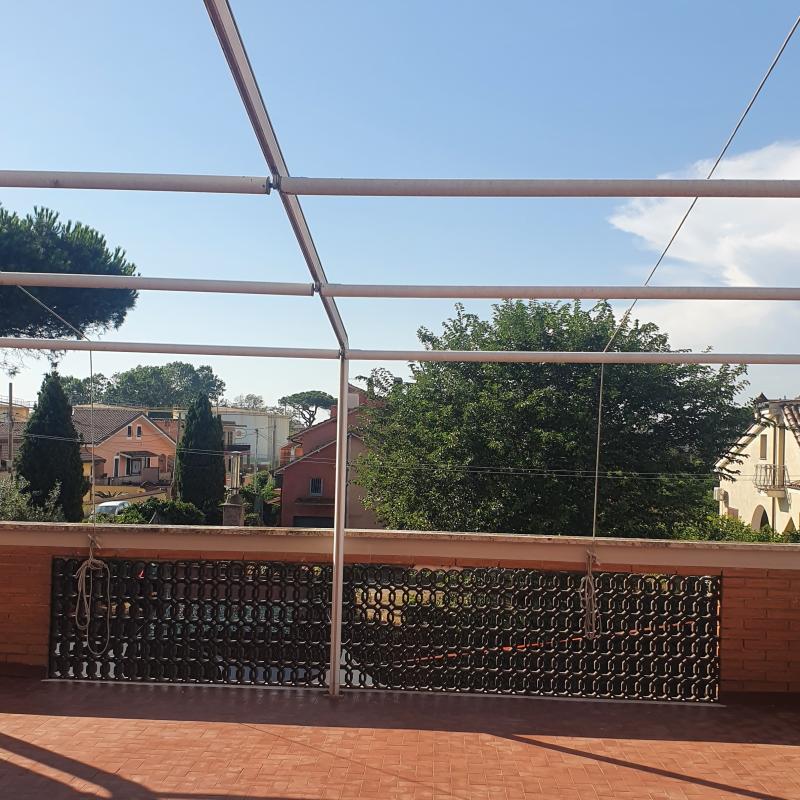 Fotosegnalazione di Fiumicino