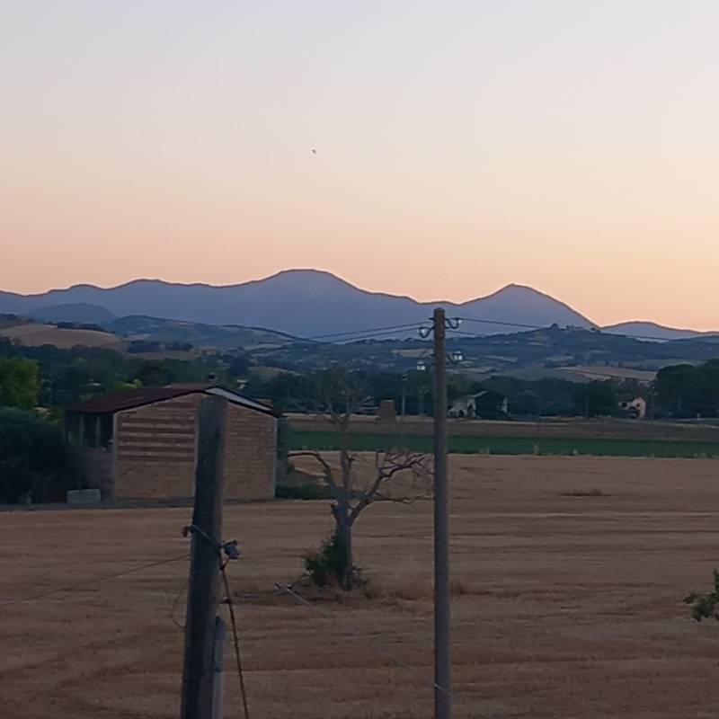 Fotosegnalazione di Ostra vetere