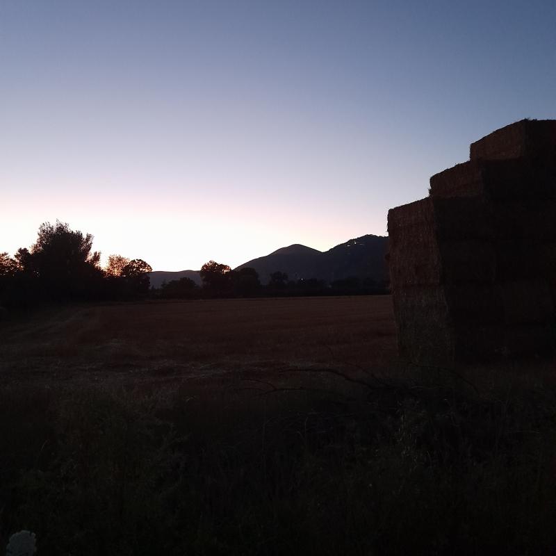 Fotosegnalazione di Gubbio