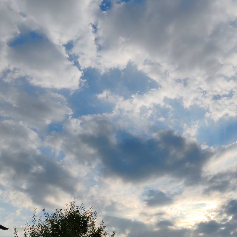Fotosegnalazione di Calvenzano