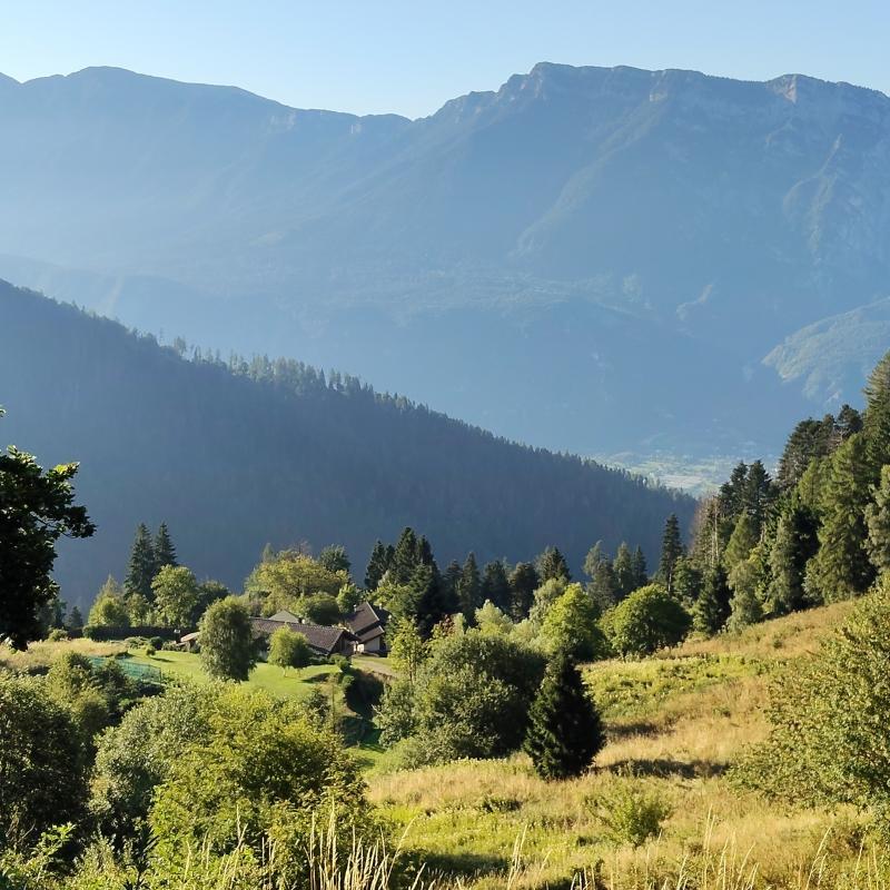 Fotosegnalazione di Vetriolo