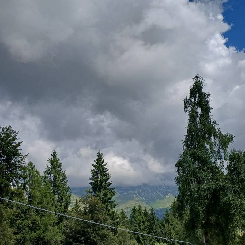 Fotosegnalazione di Colle di zambla