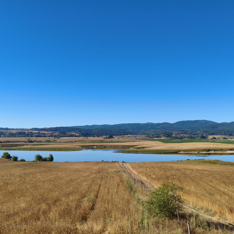 Fotosegnalazione di Celico