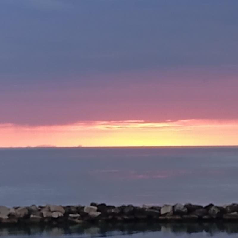 Fotosegnalazione di Bellaria igea marina