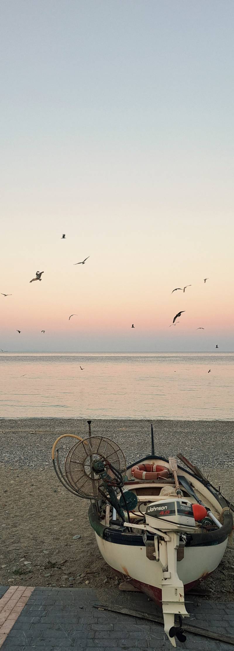 tramonto in spiaggia e volo di gabbiani