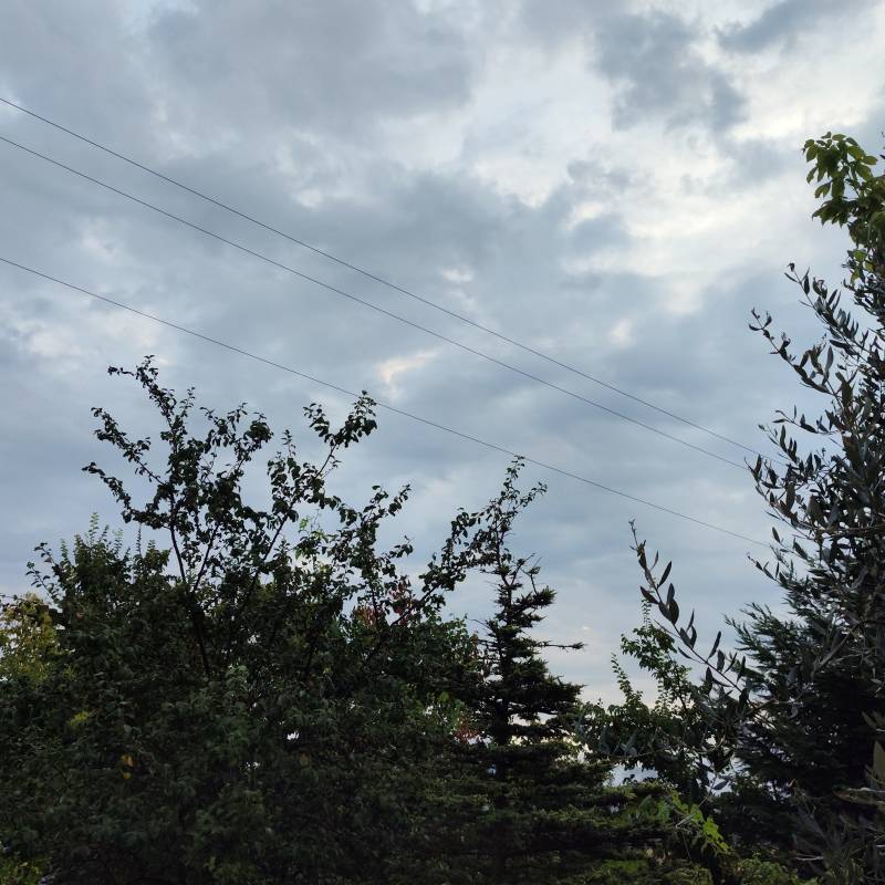 Fotosegnalazione di Sogliano al rubicone