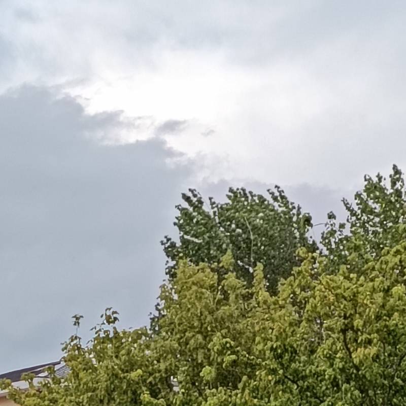 Fotosegnalazione di Giulianova