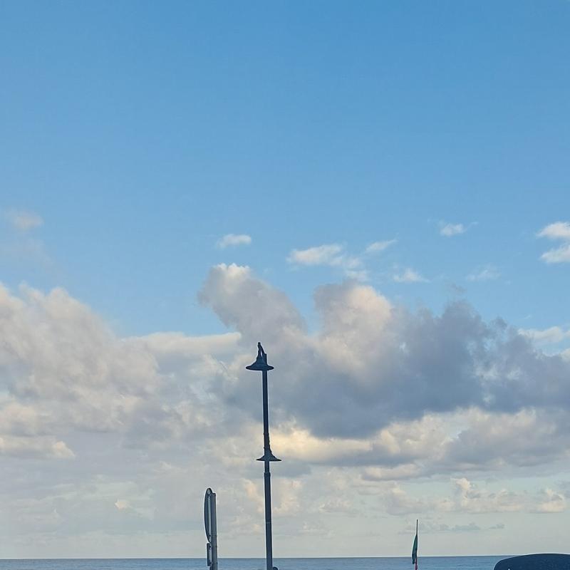Fotosegnalazione di Diamante
