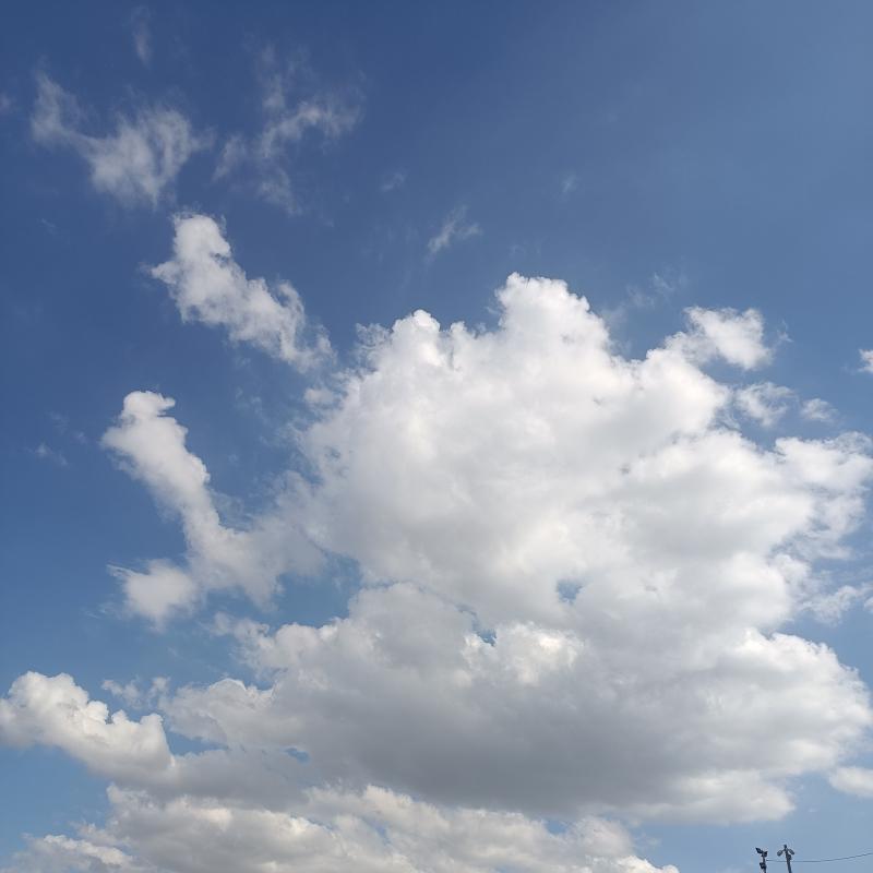 Fotosegnalazione di Nardo'