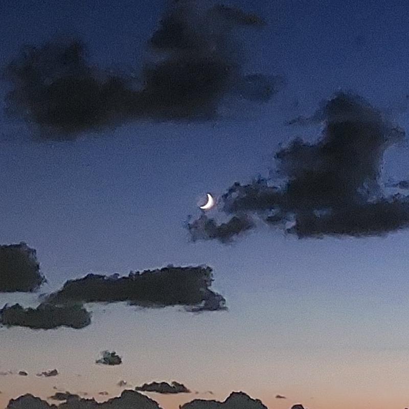 Fotosegnalazione di Diamante