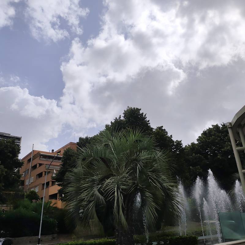 Fotosegnalazione di Roma tor de' cenci