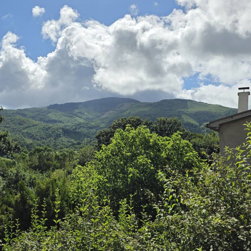Fotosegnalazione di Decollatura