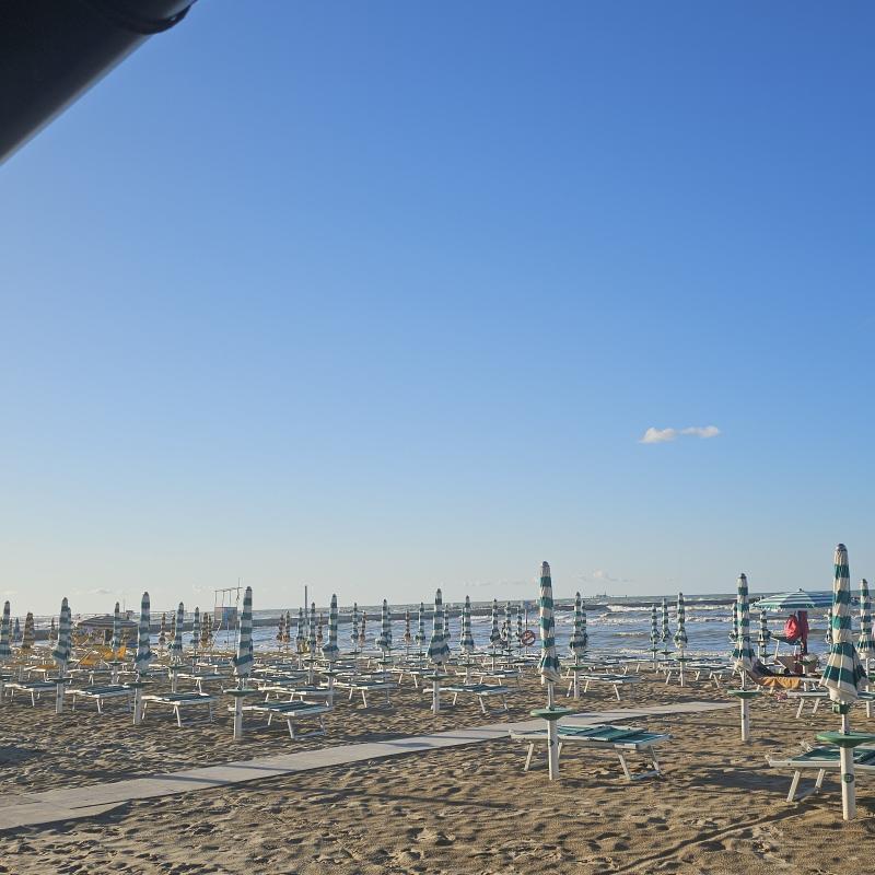 Fotosegnalazione di Palombina