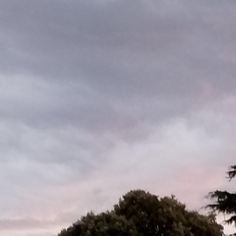 Fotosegnalazione di Signa