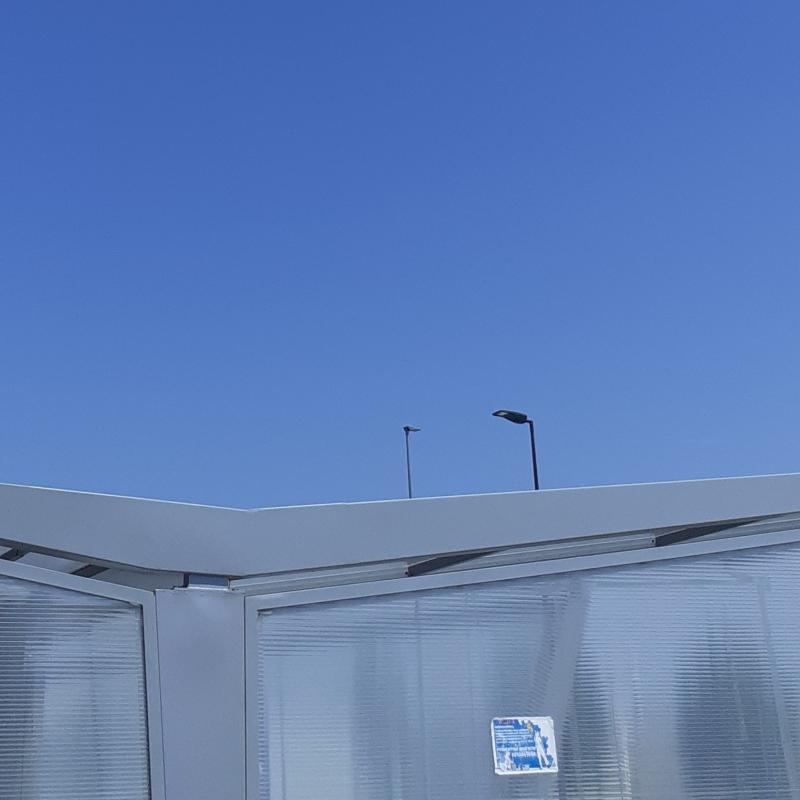 Dopo il diluvio universale un bel sole