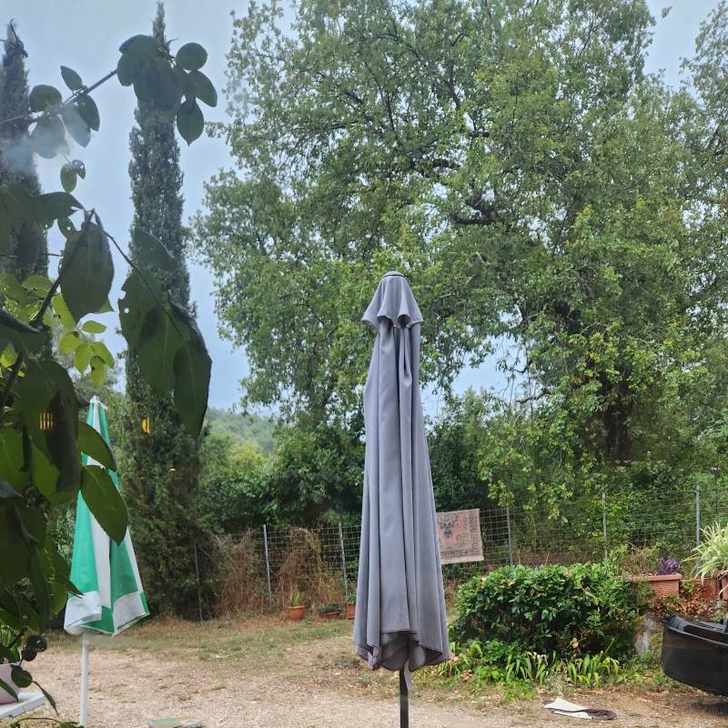 Fotosegnalazione di Massa martana