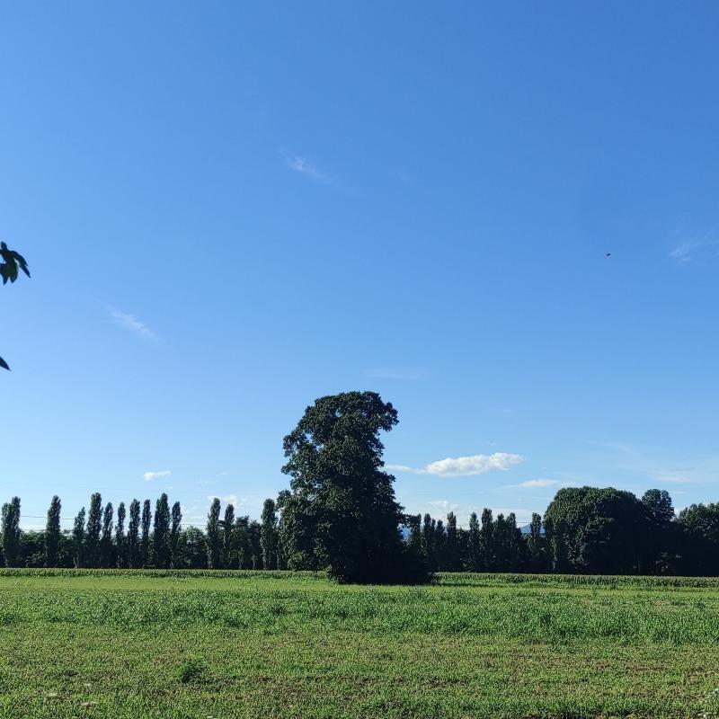 Fotosegnalazione di Carate brianza