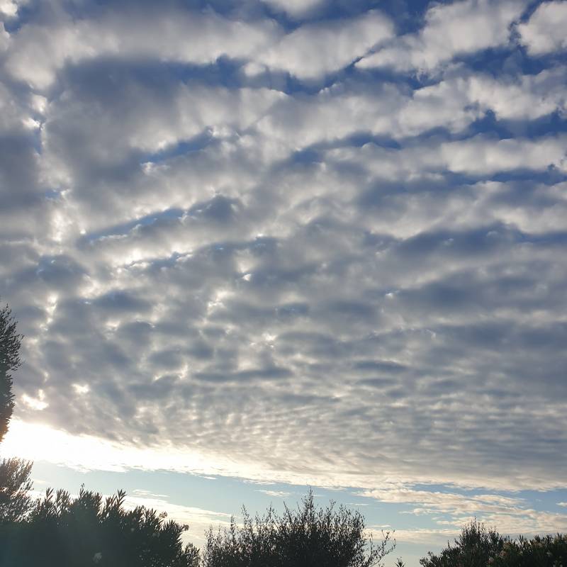 Fotosegnalazione di San costanzo