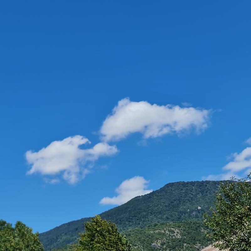 Fotosegnalazione di Villa santina