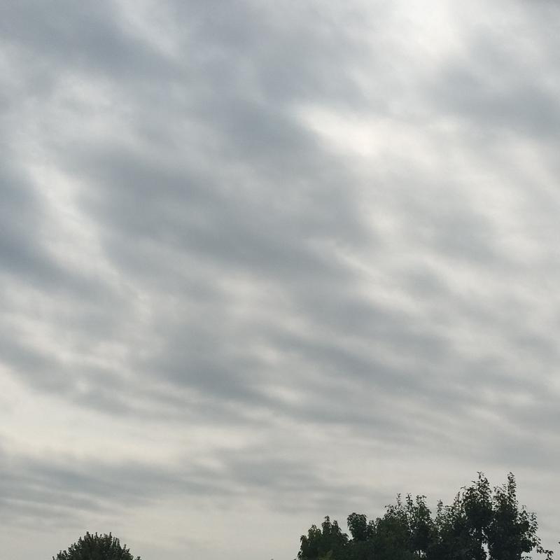 Fotosegnalazione di Milano pagano