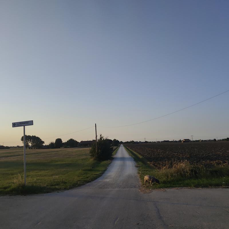 Fotosegnalazione di Bagnarola