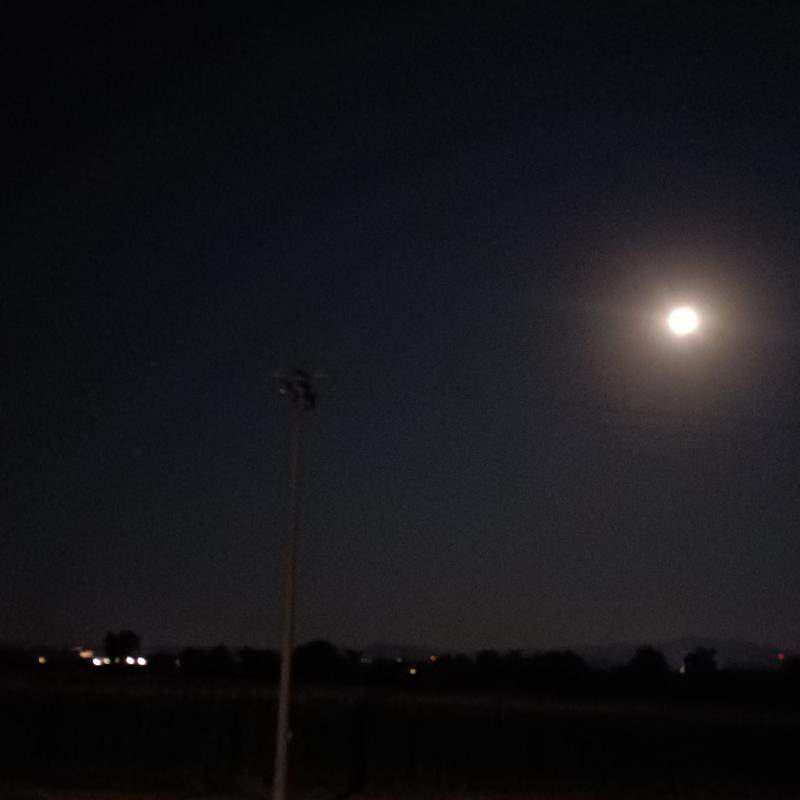 Fotosegnalazione di Fidenza
